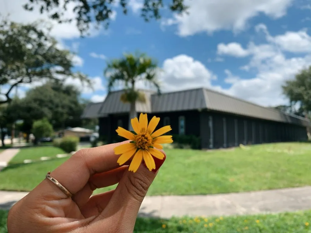 A yellow flower held up in front of the Miami Eye Institute building and lawn